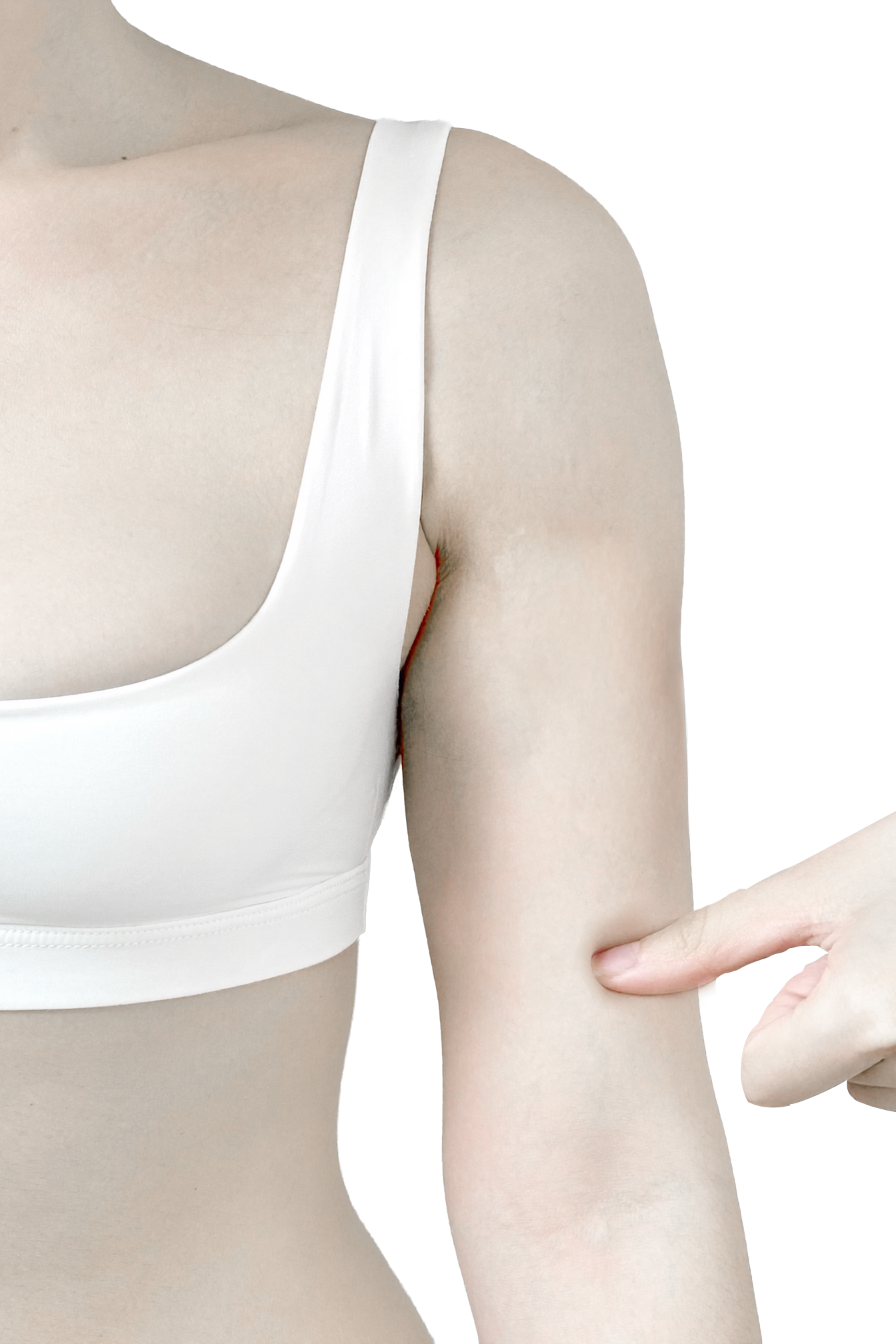 하완 (팔 아래쪽)